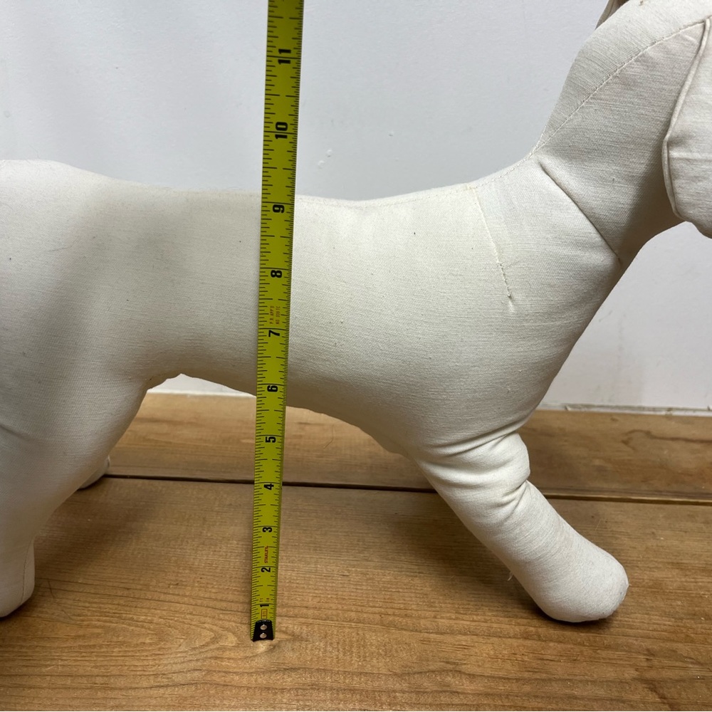 Model Dog - Picture 5 of 6